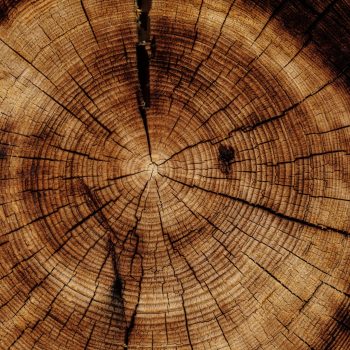 Kleje do Drewna: Przewodnik po Rodzajach i Zastosowaniach