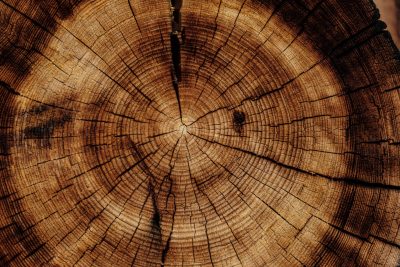 Kleje do Drewna: Przewodnik po Rodzajach i Zastosowaniach